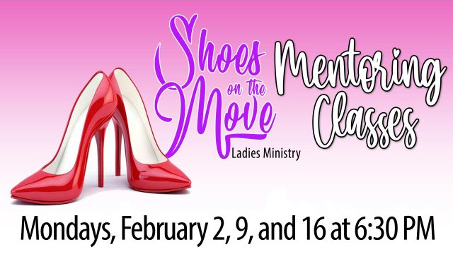 Sotm mentorship copy