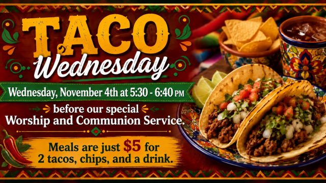 Taco Wednesday